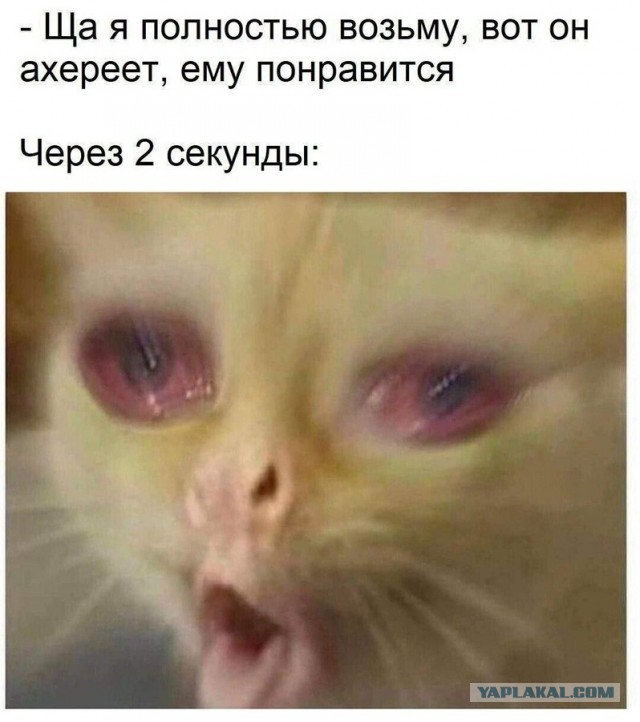 Картинки и мемы. Выходные близко...
