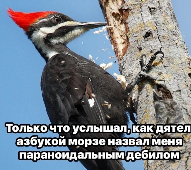 Азбука Морзе⁠⁠