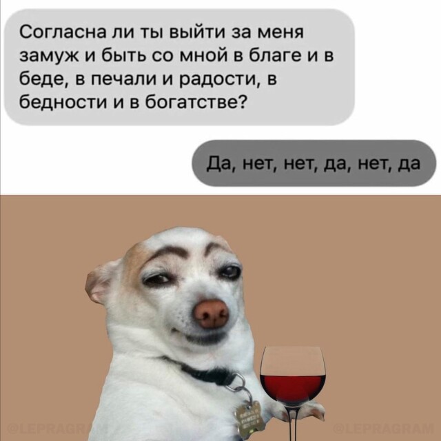 Картинки и мемы для настроения - 137