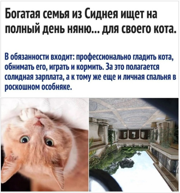 Забавные комментарии из социальных сетей (29.05.23)