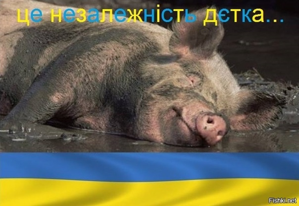 На линии Соледар-Попасная - обрушился фронт!