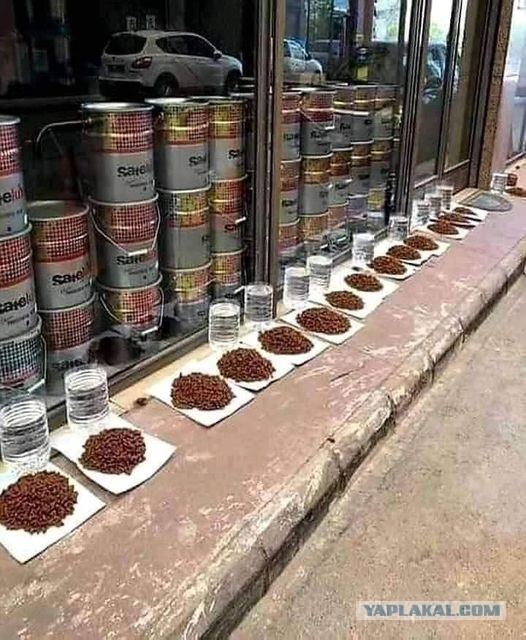 Никакие картинки и тексты