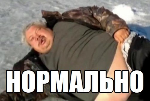 Манул Тимофей из Московского зоопарка закончил процесс зажировки к зиме