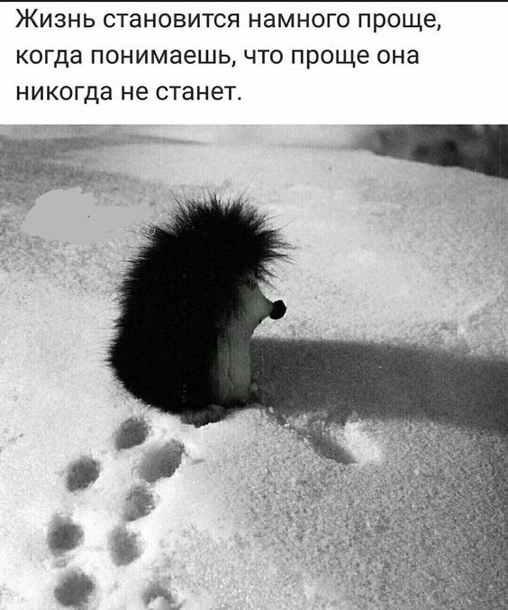 Так себе картинки 06.12.24