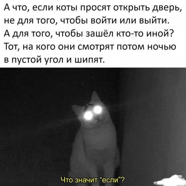 Так себе картинки 28.12.24