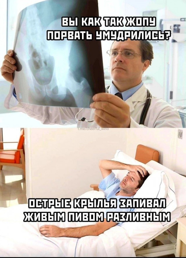 Весёлый полтишок 23.01.25