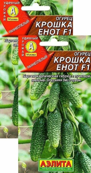 Енот или секретный способ лечения геморроя