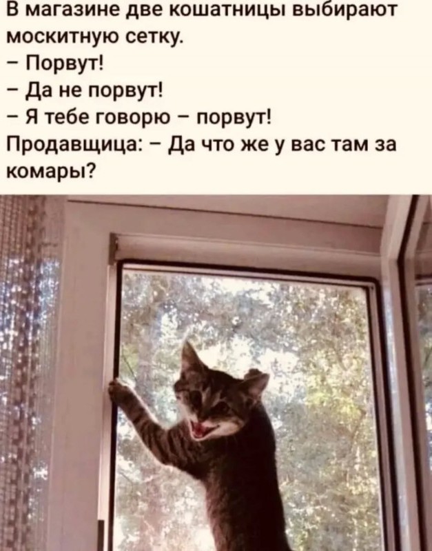 Игра слов⁠⁠
