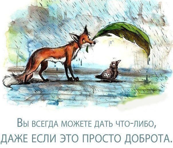 Лисухи и не лисухи