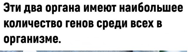 Так себе картинки 31.05.25