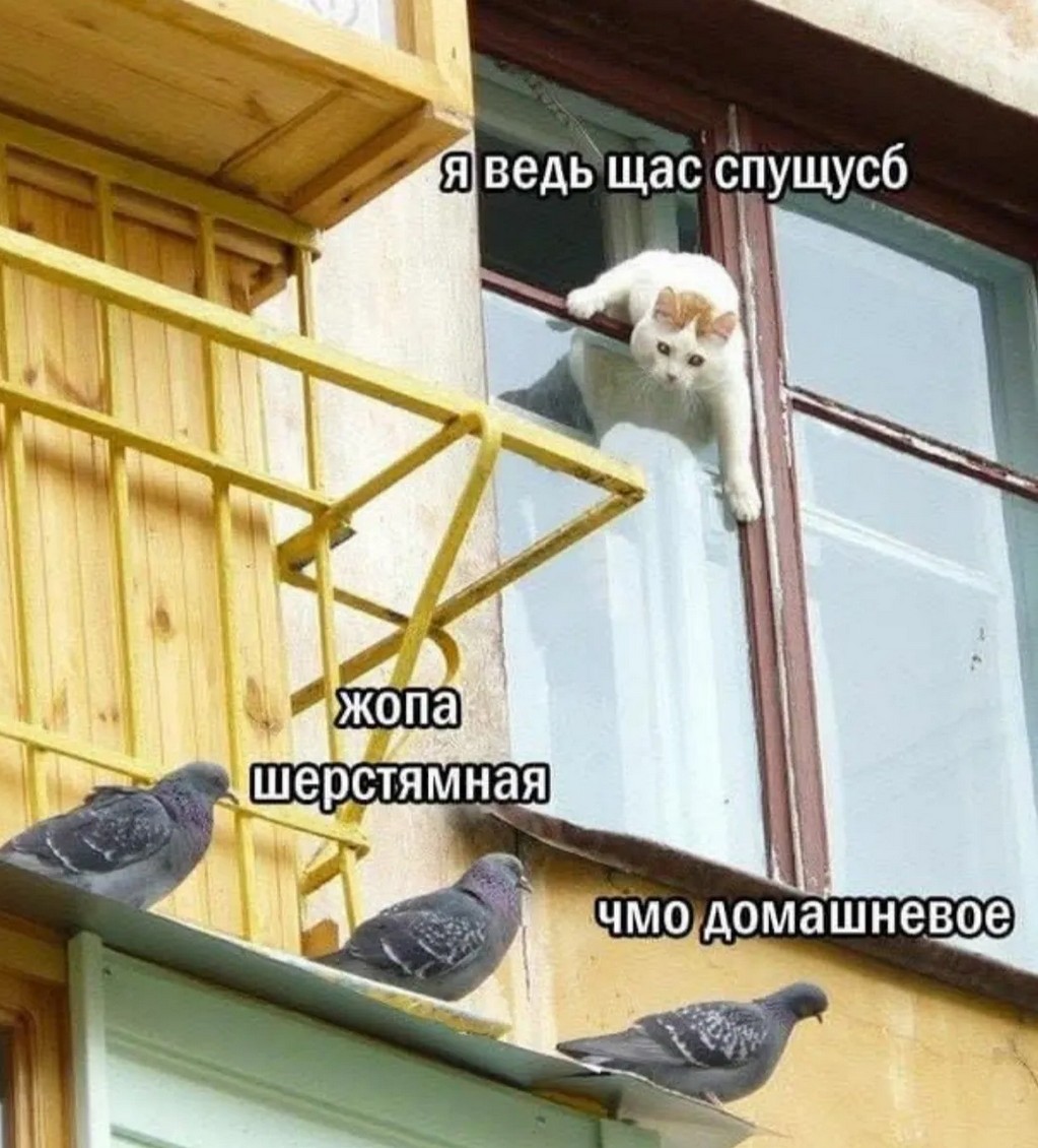 Завалялось тут случайно немного забавных картинок