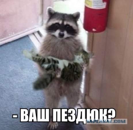 Сундук деграданта! Выпуск номер 10!