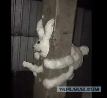 Помог лягушонку