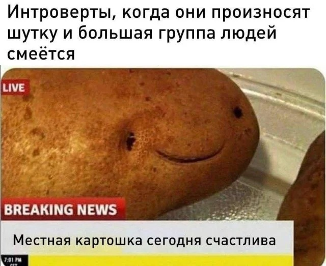 Так себе картинки 03.11.25