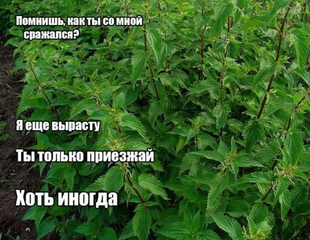 Когда не с кем выпить