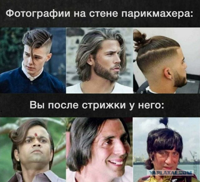 Веселые картинки в пятницу (26.12)