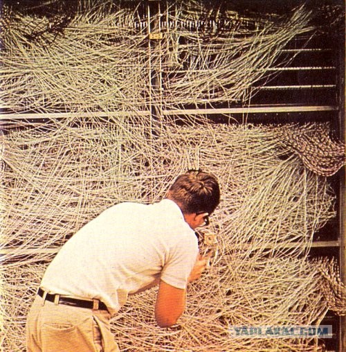 Быть женой программиста