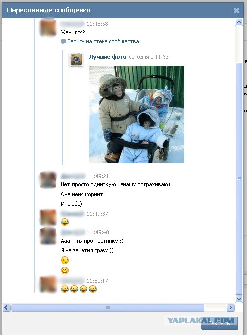 Смешные комментарии из социальных сетей #2