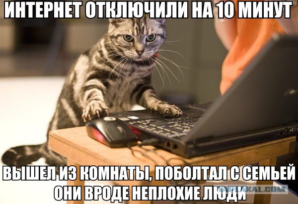 Смешное из соц сетей