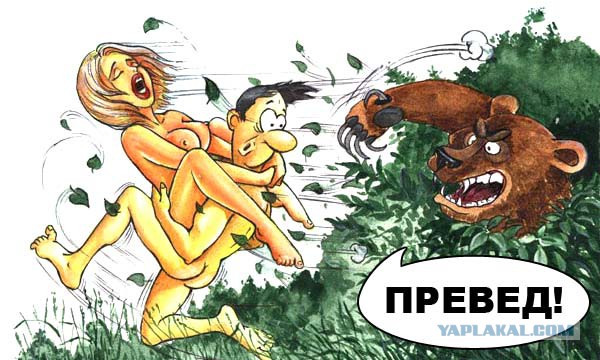 Медведи почти на все случаи жизни