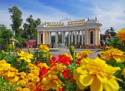 За полгода в Россию из Казахстана переехали 11,4 т