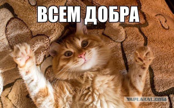 Смешные комментарии из социальных сетей 15.11.14
