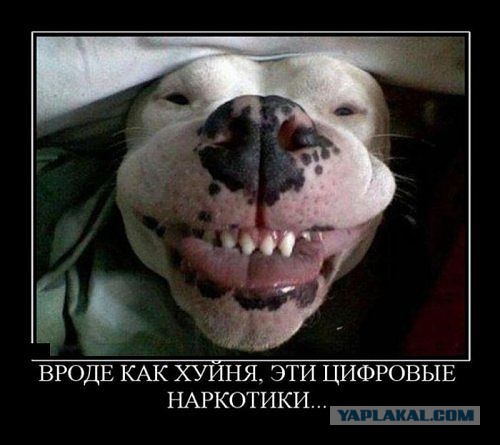 Весёлое из сети