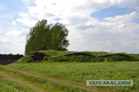 Непонятная археохрень на Дону
