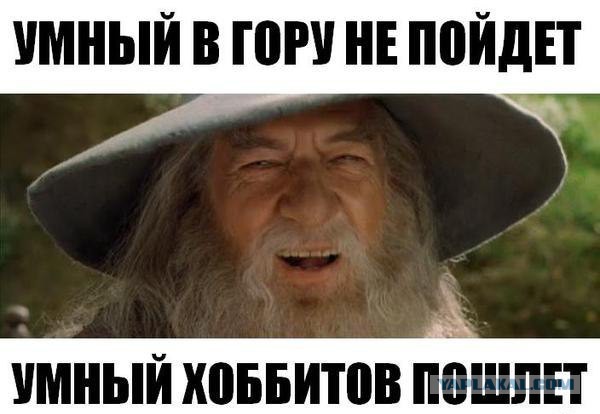 Забавные картинки из сети