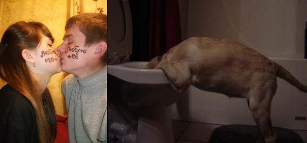 Веселости которые встретились сегодня