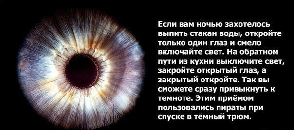 Веселости которые встретились сегодня