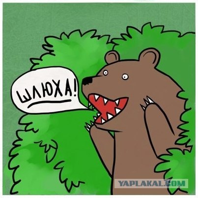 На пути к мечте не хватало 46 тысяч