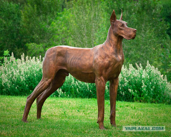 25 самых опасных пород собак