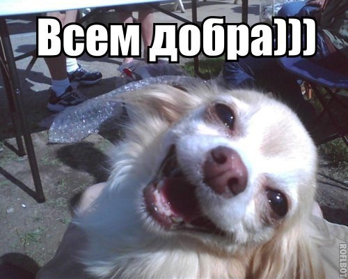 Прикольные картинки
