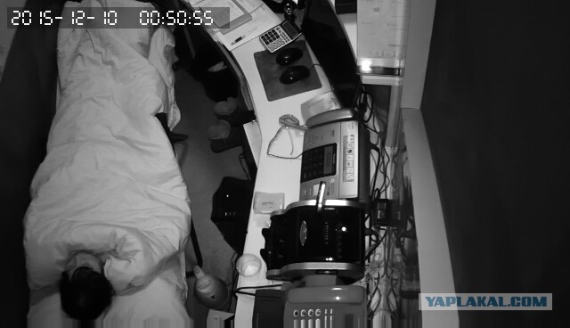 За что я люблю китайцев