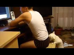 Котооо-о-о-вторник