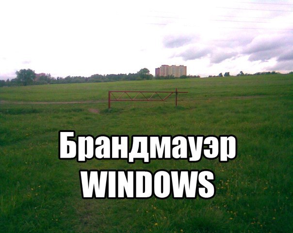 Картинки