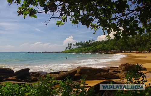 Самостоятельное путешествие в Шри-Ланку