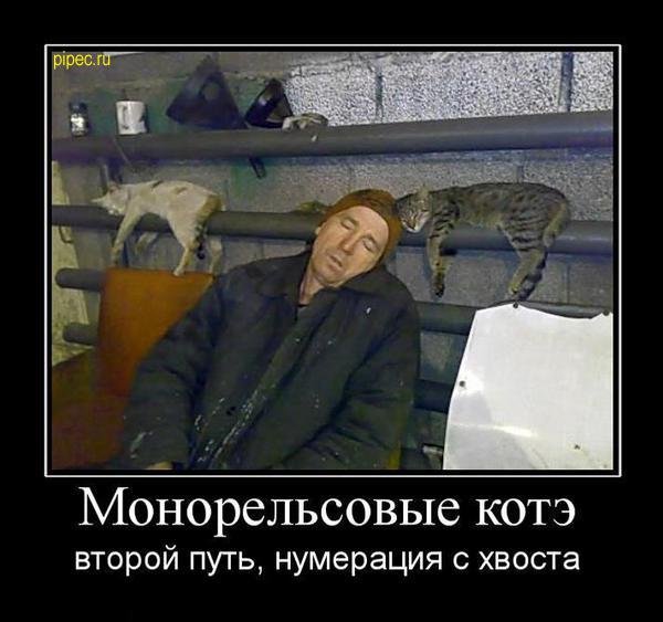 Веселые картинки