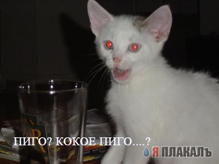 Уже да :) Ужо пятнецца...