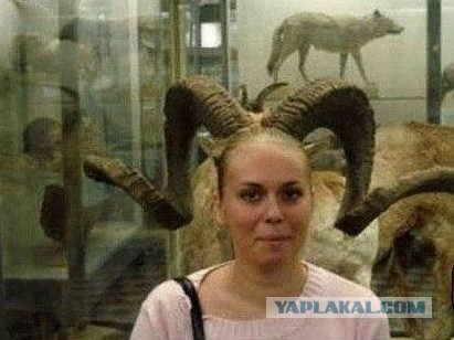 Картинки из сети, подборка