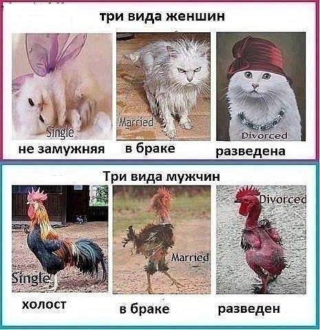 Картинки из Интернетов