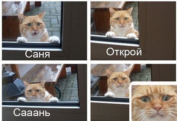 Жителям Австралии стоит устанавливать в доме прочные стекла