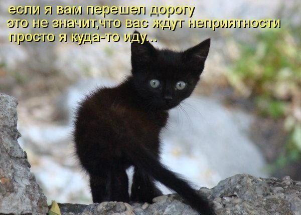 Интересные и веселые картинки
