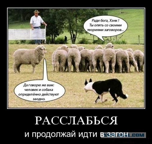 Отказ от употребления алкоголя может стать причиной преждевременной смерти.