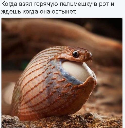 Подборка интересных и веселых картинок
