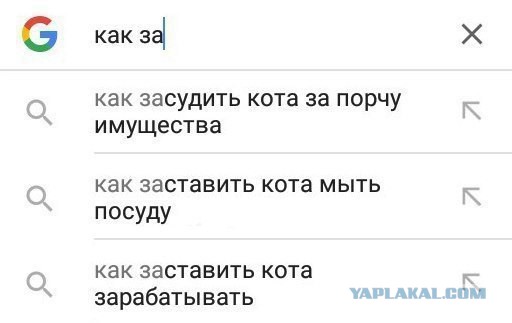 Подборка интересных и веселых картинок