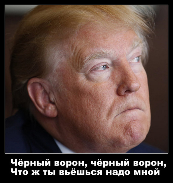Питерские казаки пригрозили лишить Трампа звания есаула