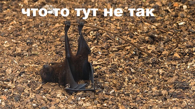 Картинки прикольные 25шт