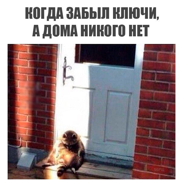 Забыл пароль от компьютера. Что делать если забыл дома. Что делать если забыл поставитт сетхом на доме. Что делать если забыл дома. Что делать если забыл дома.